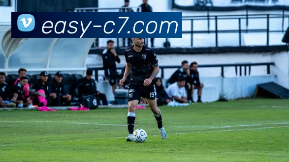 c7娱乐平台生态图